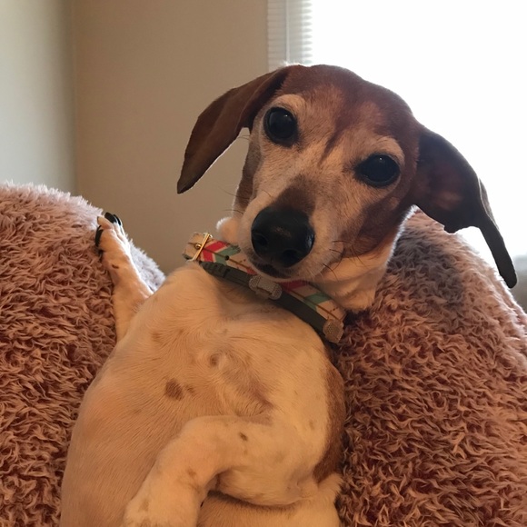 Meet your Posher, Joshua - Picture 1 of 1